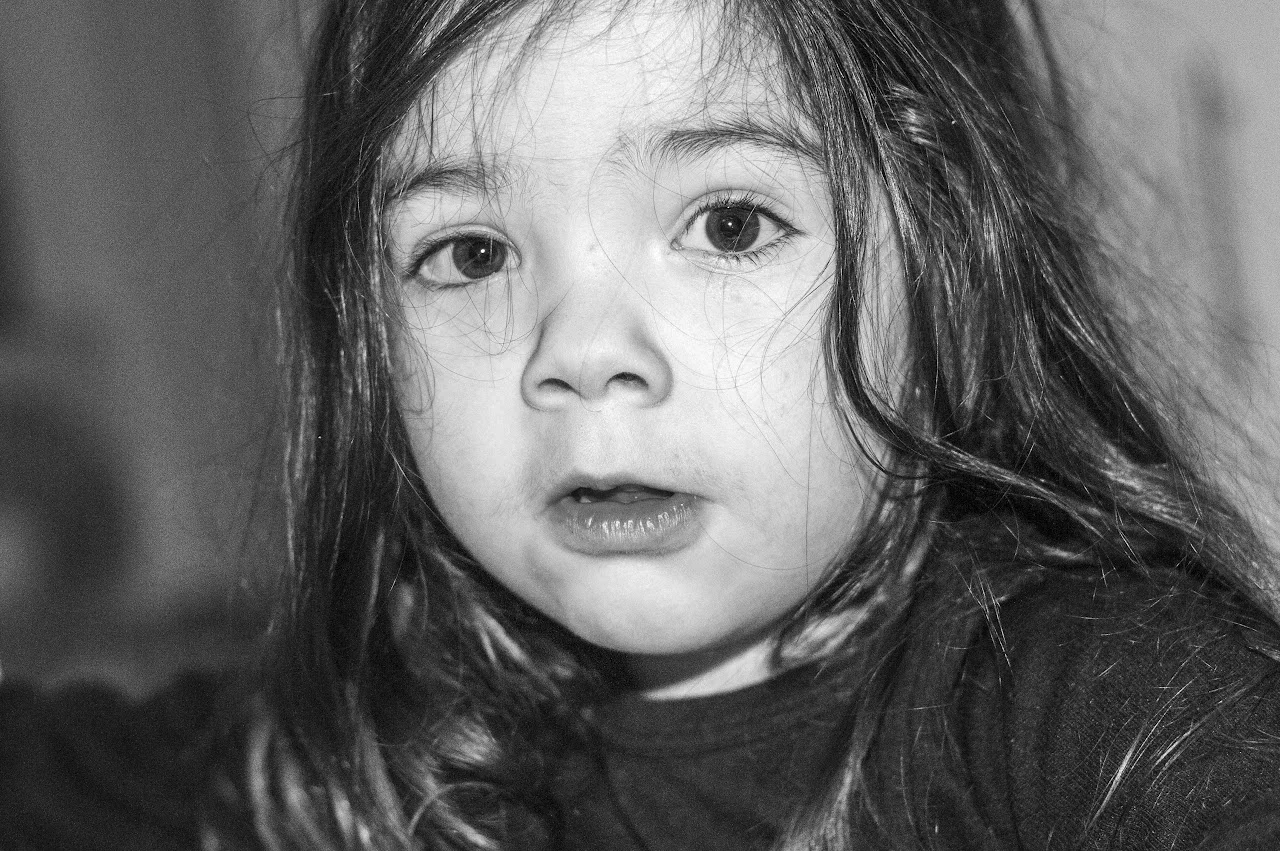 Fotografía de Retrato - Mauricio Alfredo HERRERA PEREZ