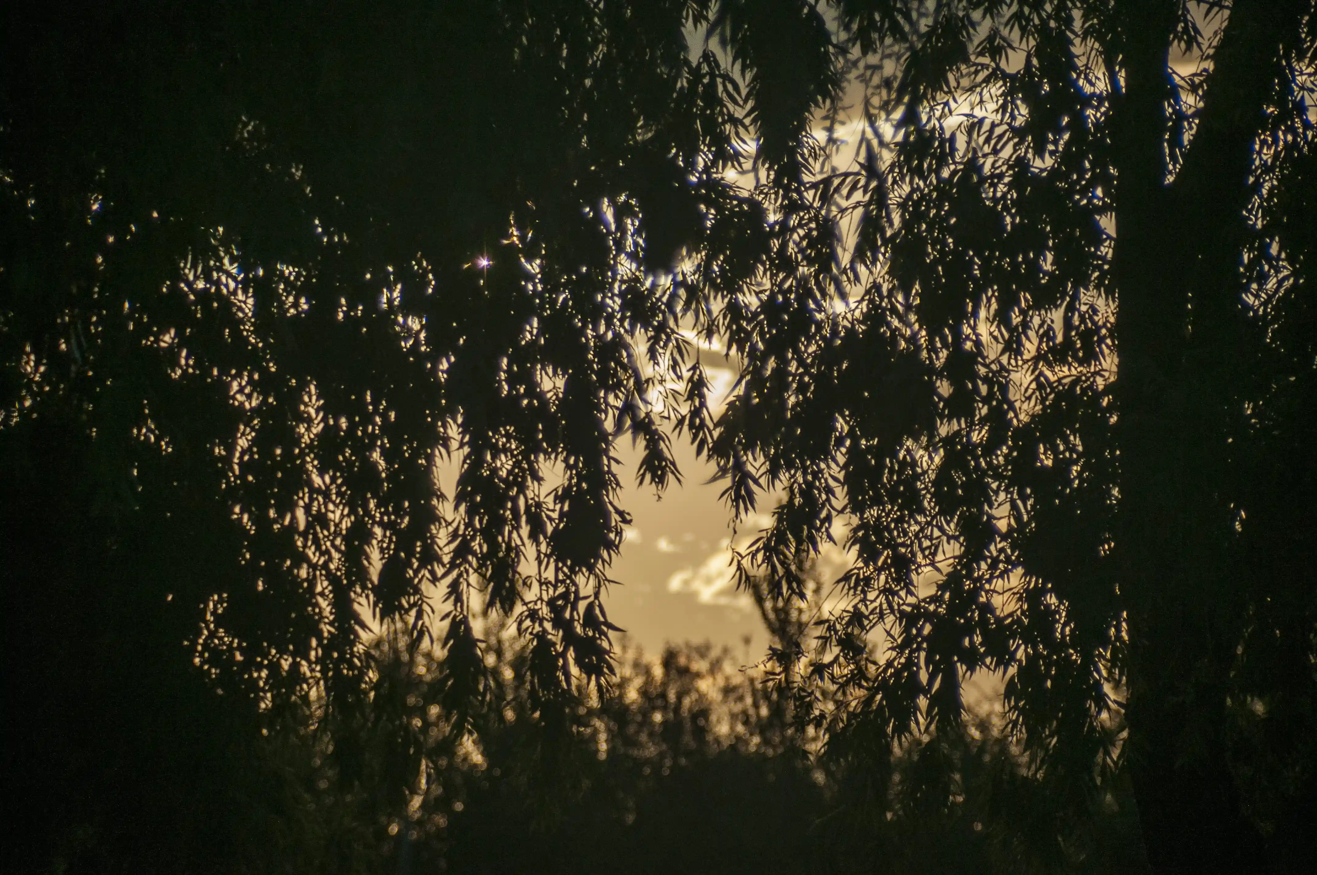 Fotografía 2 - Mauricio Alfredo HERRERA PEREZ