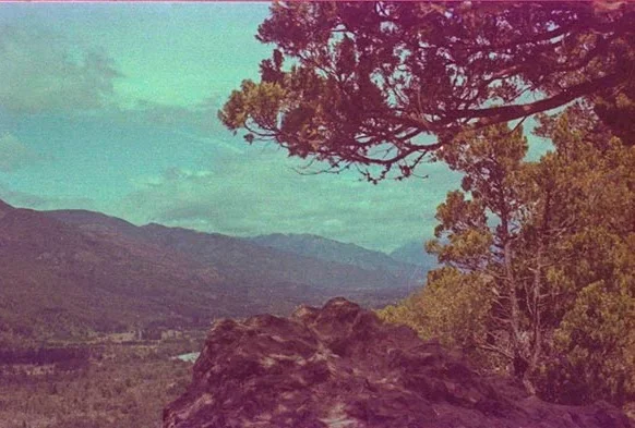 Fotografía Analógica Color - Mauricio Alfredo HERRERA PEREZ