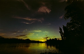 Obra de Mauricio Alfredo HERRERA PEREZ